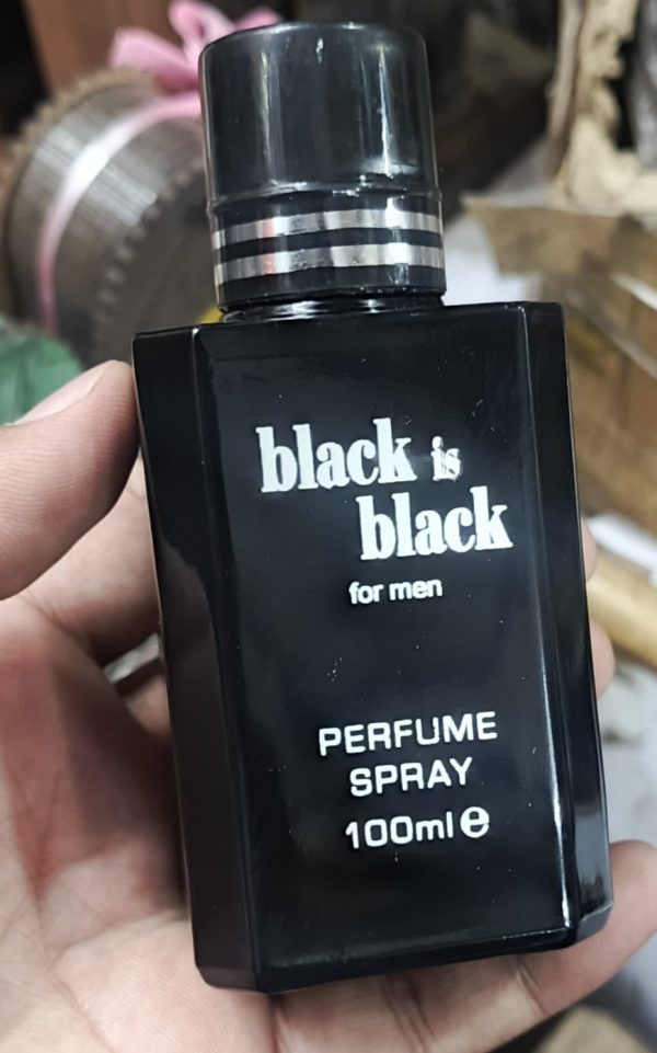 Black Is Black Perfume for Men – 100ml Eau De Parfum | Long Lasting Fragrance | Spicy Woody Scent